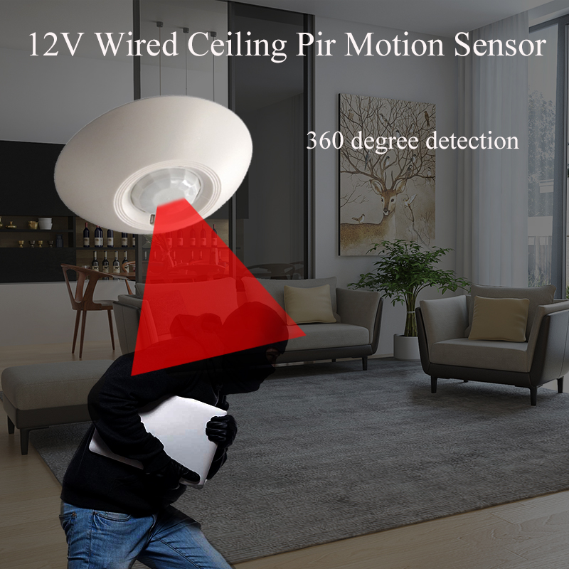 Rilevatore di soffitto con sen - Motion Sensor Pir Wired recensione e prezzo